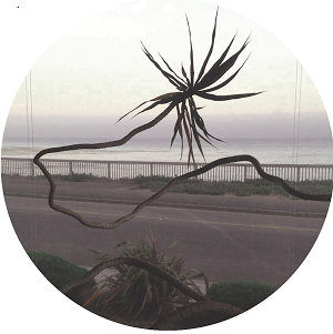 TAPE HISS / CRYSTAL VOYAGE EP