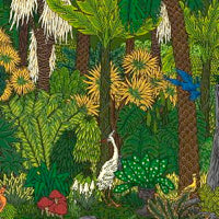 CL DAWKINS / AFFIRMATION OF LOVE