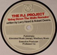 THE PJ PROJECT / BRING DAWN THE WALLS REMAKE