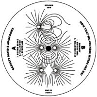 GARRETT DAVID & ADAM ROWE / NOW THAT WE ARE HERE, WHERE ARE WE?