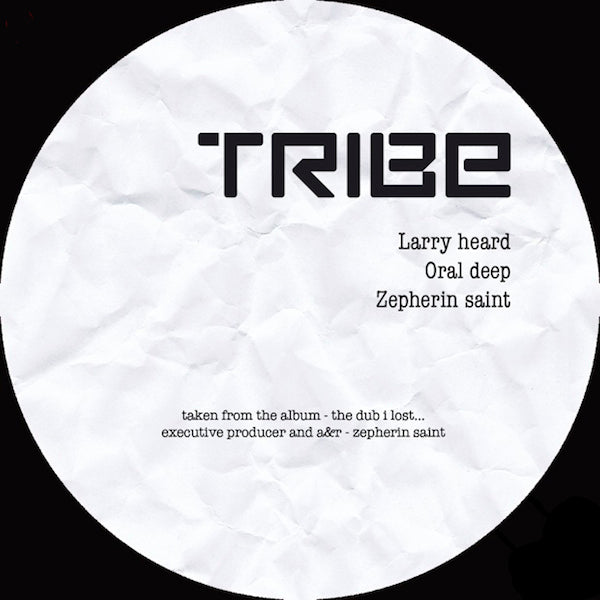 VA / THE DUB I LOST EP2 -LARRY HEARD, ZEPHERIN SAINT, ORAL DEEP REMIXE