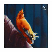 MUSHROOMS PROJECT &amp; ALMUNIA / XXX 003