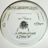 BLACK METEORIC STAR / DREAMCATCHER
