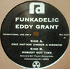 FUNKADELIC / ONE NATION UNDER A GROOVE-TIMMY REGISFORD REMIX