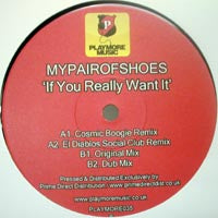 MYPAIROFSHOES / IF YOU REALLY WANT IT