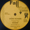 STEVIE WONDER